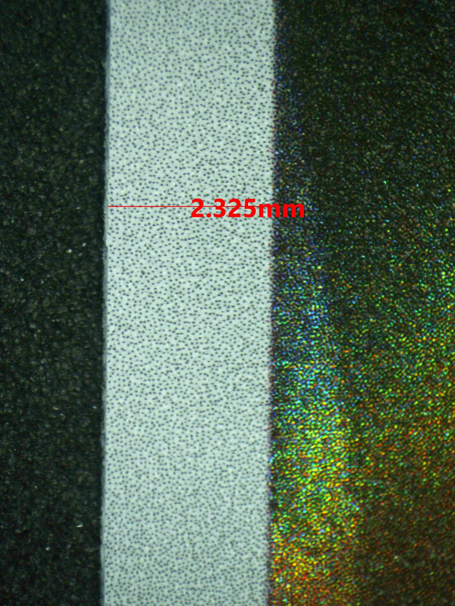 08296 CHARMELEON Grading Card