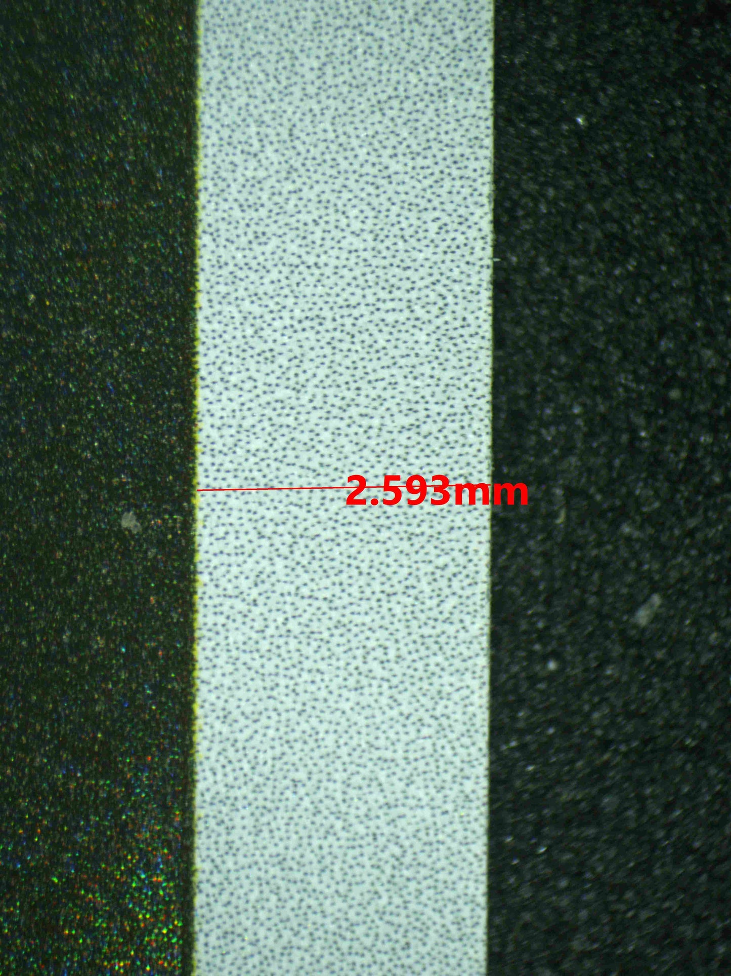 08296 CHARMELEON Grading Card