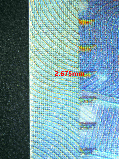 08298 LISIA'S APPEAL Grading Card