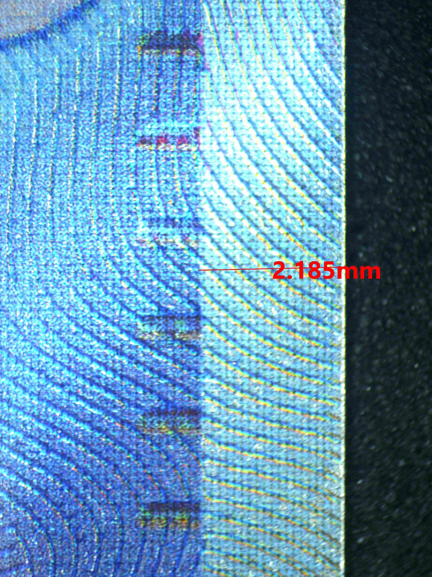 08298 LISIA'S APPEAL Grading Card