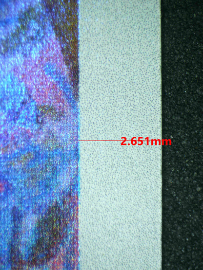 08300 BRAVIARY Grading Card