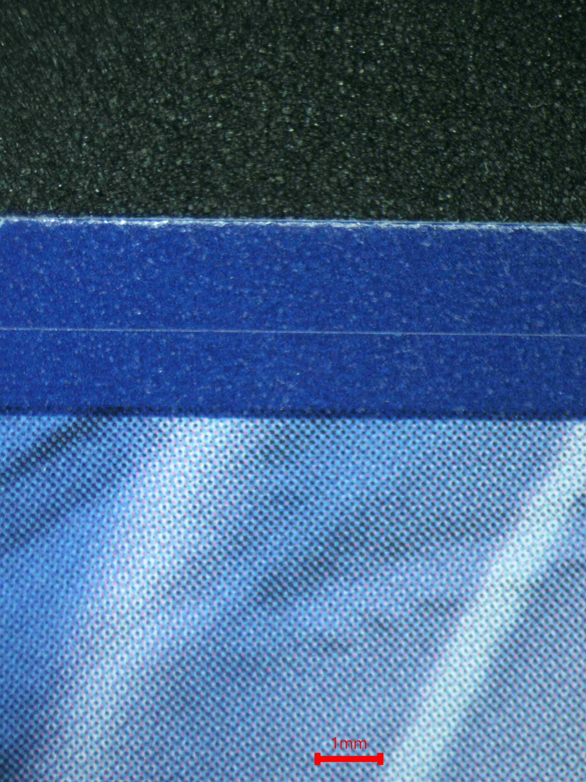 08301 ROARING MOON EX Grading Card