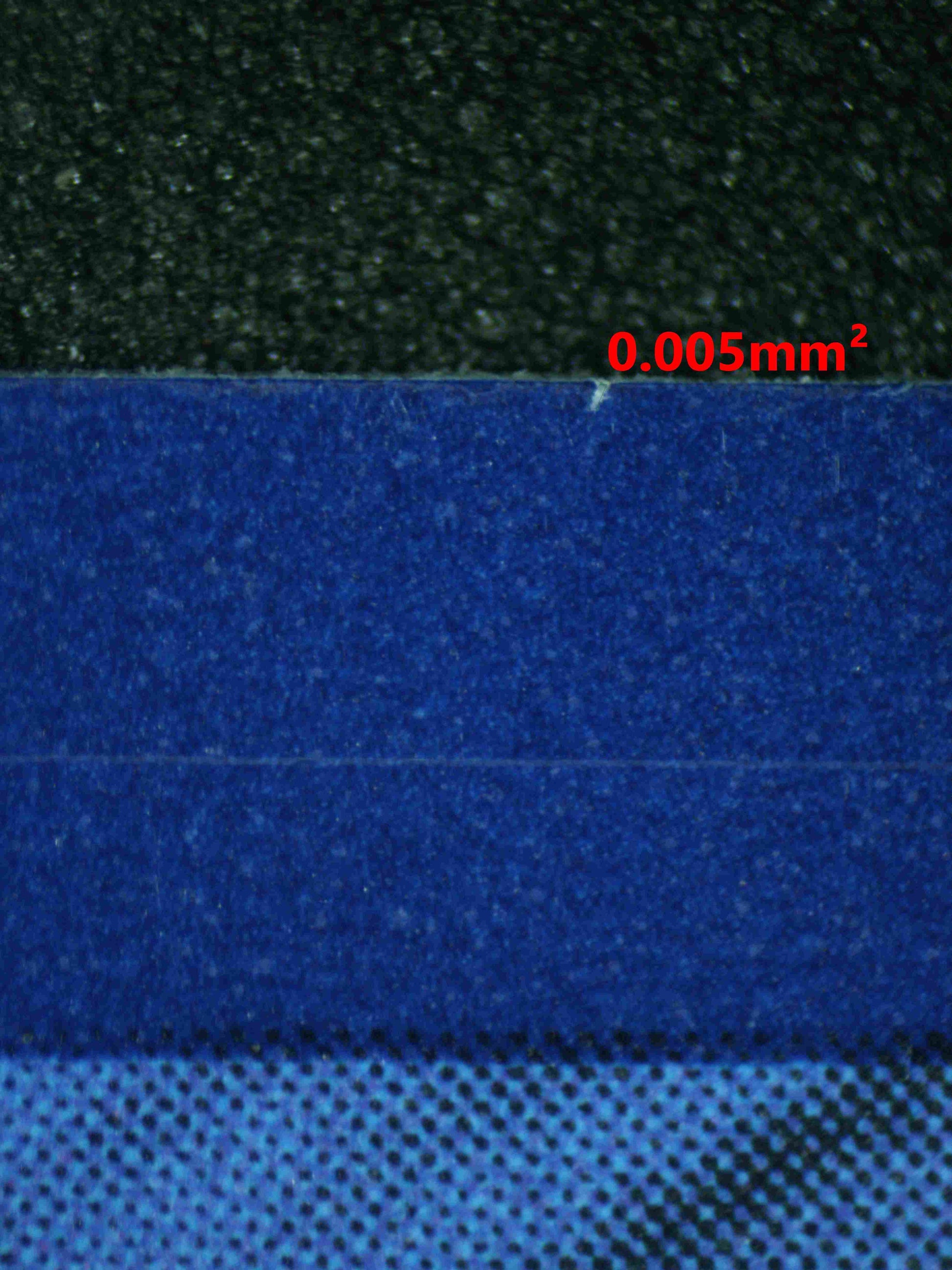 08301 ROARING MOON EX Grading Card