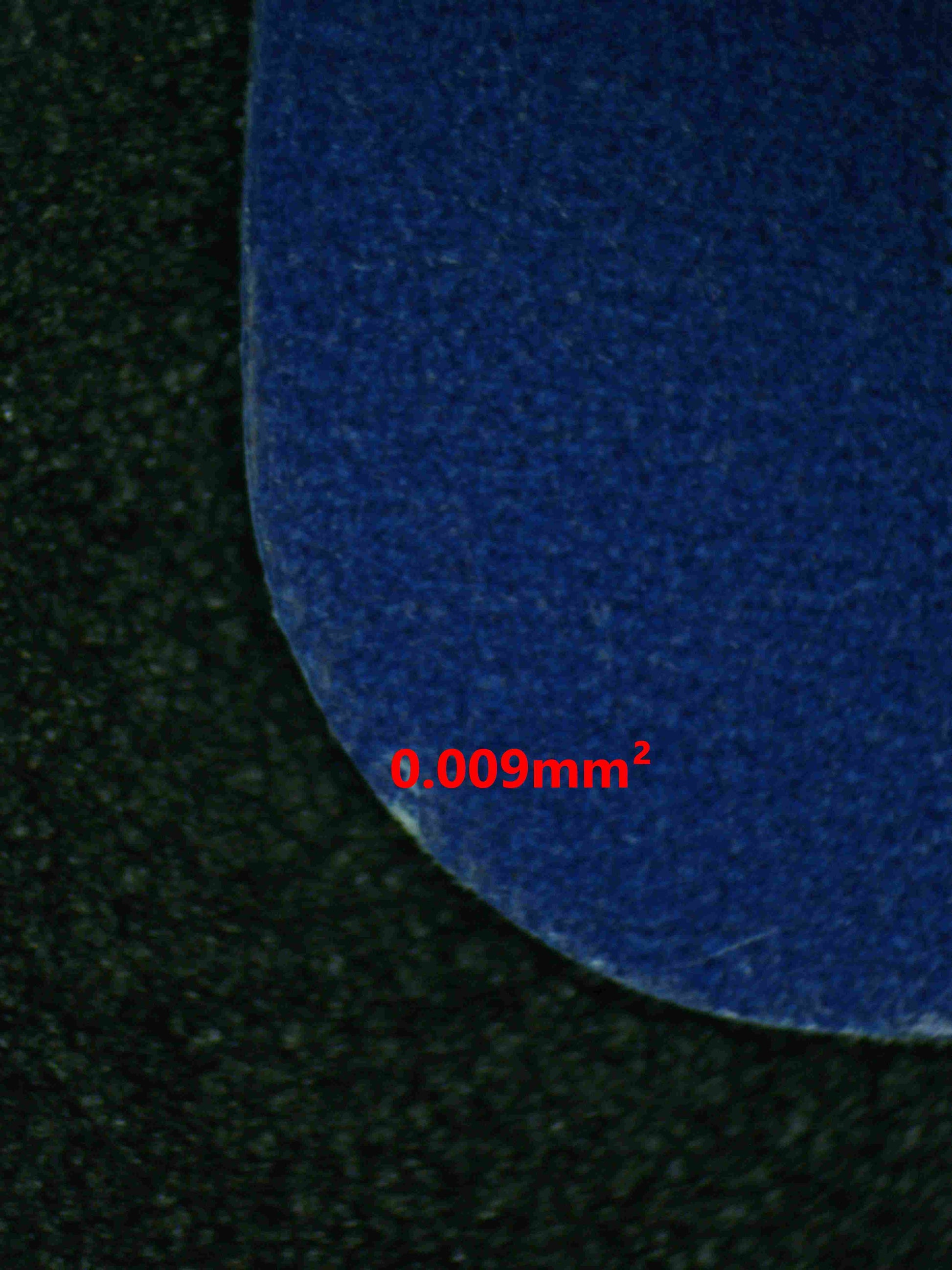 08302 UMBREON Grading Card