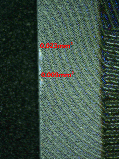 08302 UMBREON Grading Card