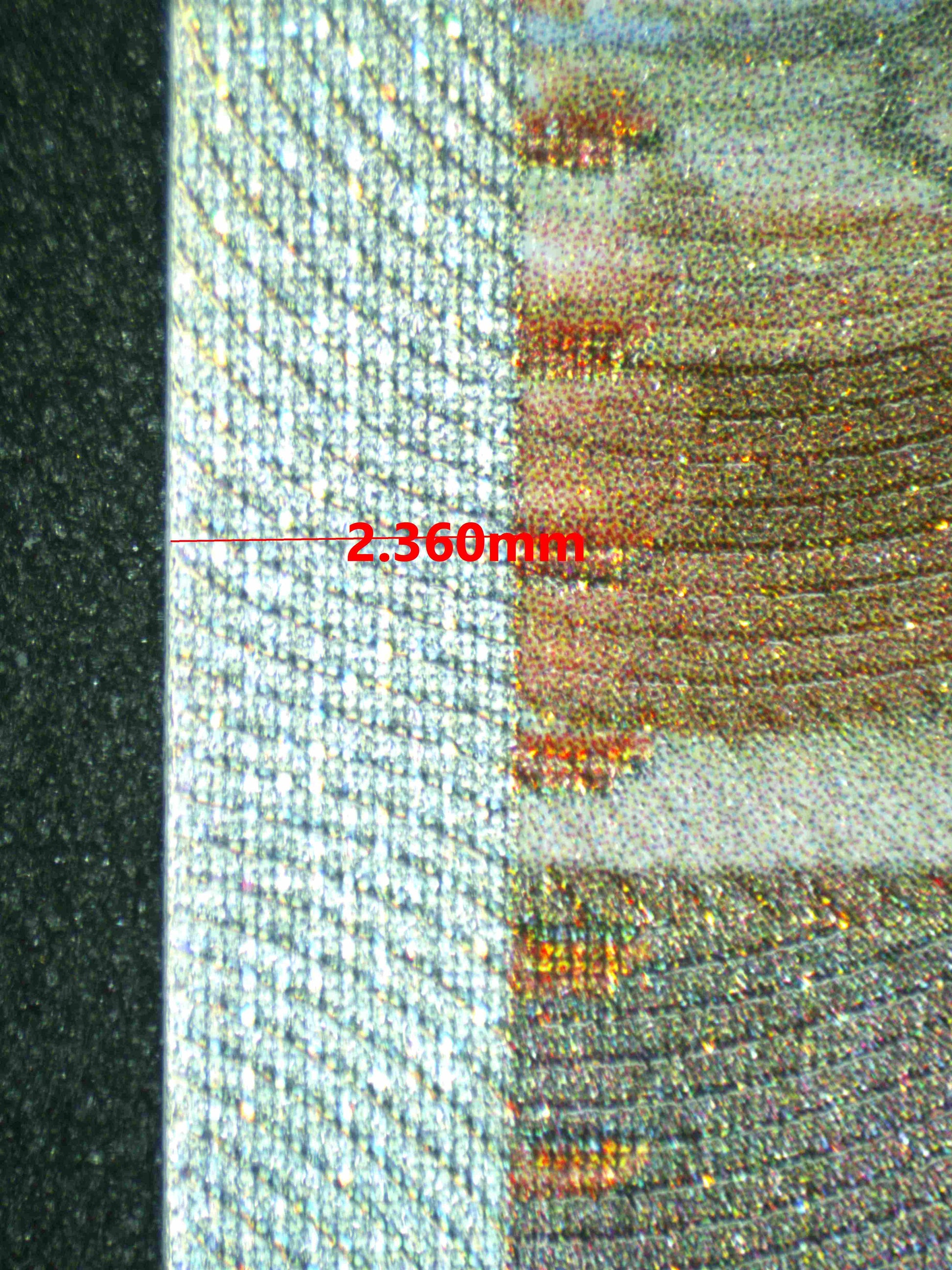 08304 JASMINE'S GAZE Grading Card