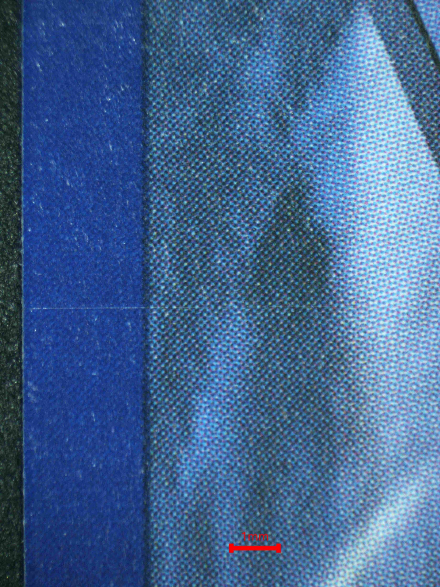 08306 BULBASAUR Grading Card