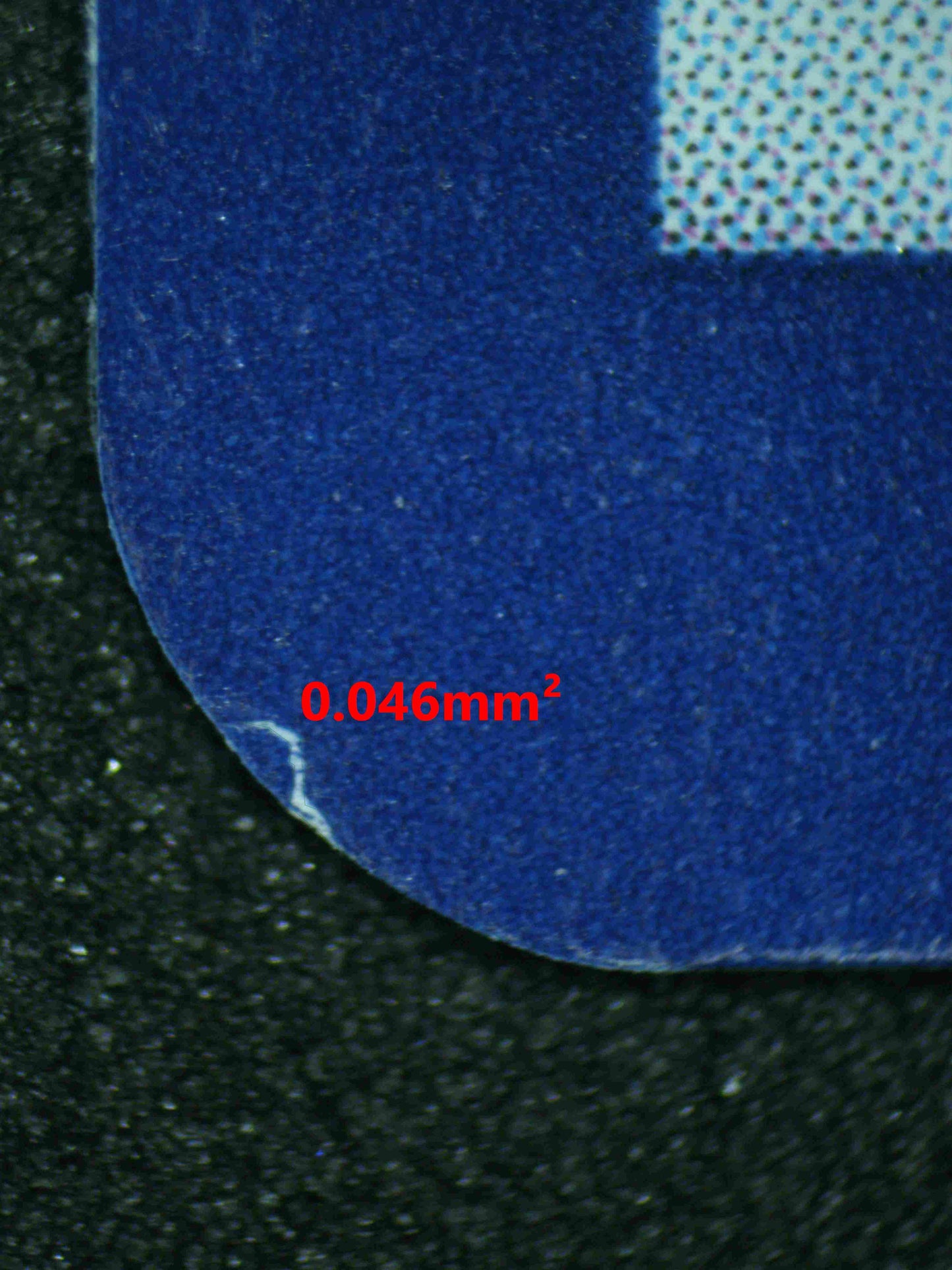 08308 LATIOS Grading Card