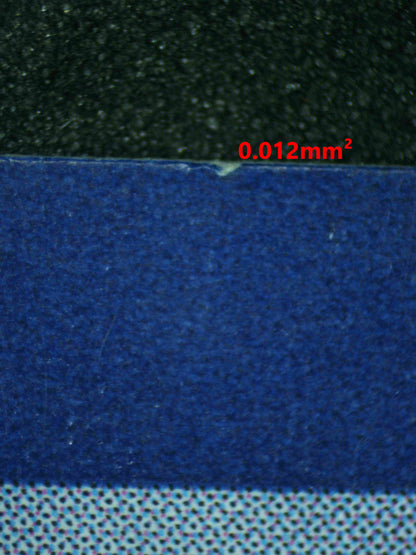 08310 CHARIZARD EX Grading Card