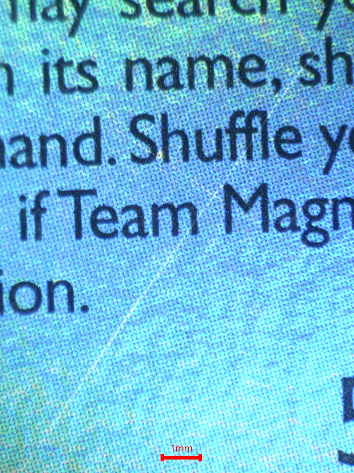 08312 TEAM MAGMA'S MIGHTYENA Grading Card