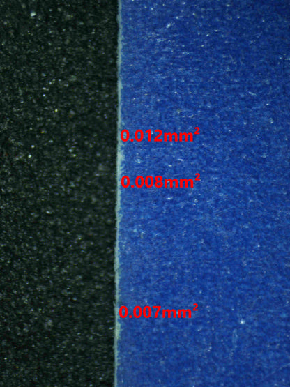 08312 TEAM MAGMA'S MIGHTYENA Grading Card