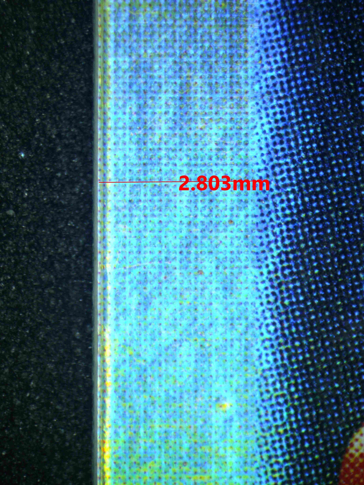 08312 TEAM MAGMA'S MIGHTYENA Grading Card