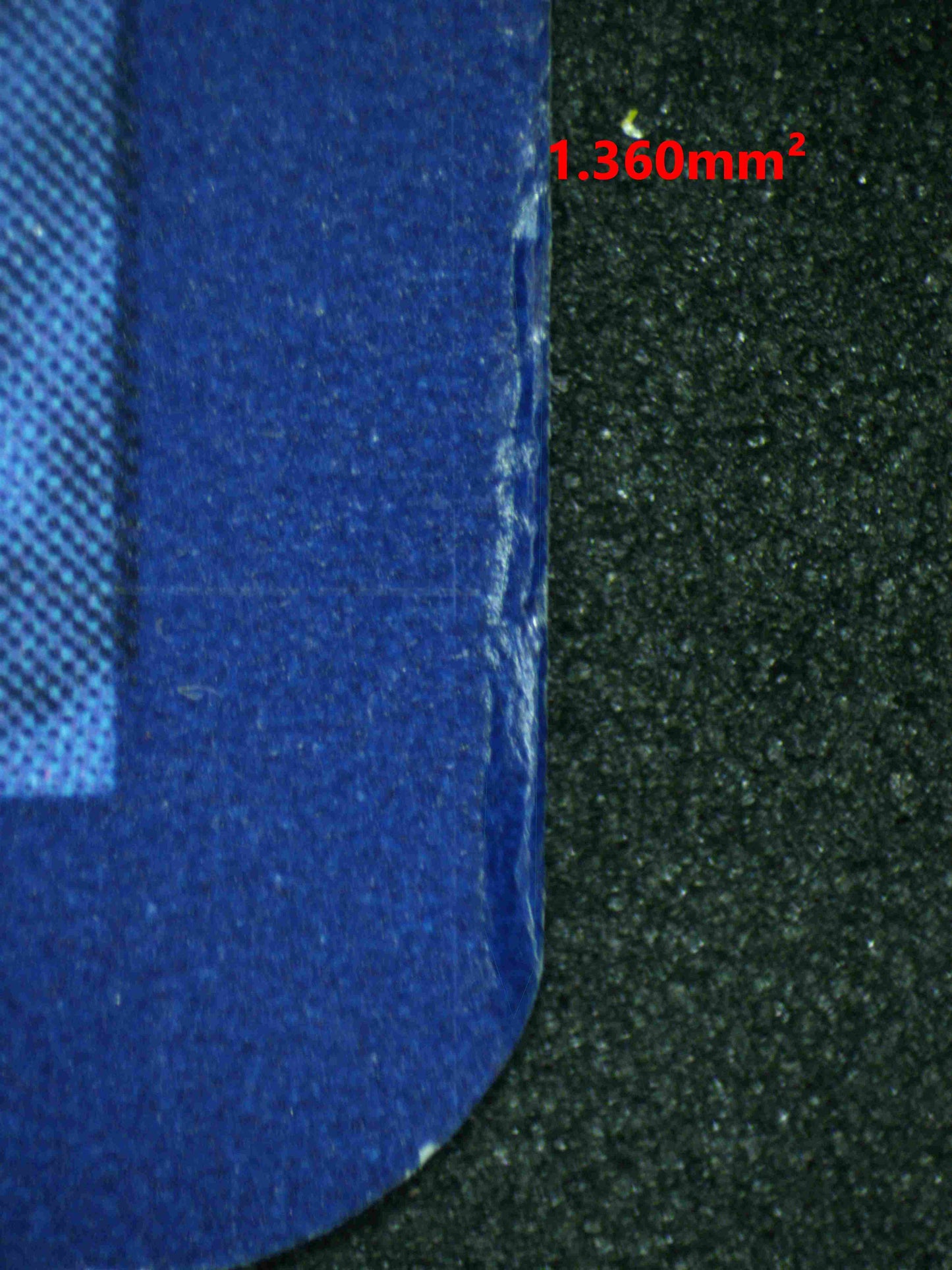 08313 CERULEDGE EX Grading Card