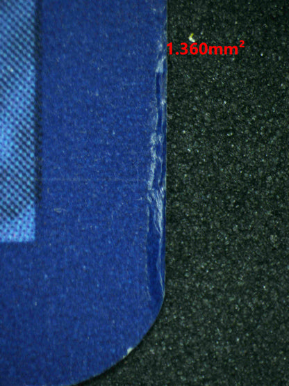 08313 CERULEDGE EX Grading Card