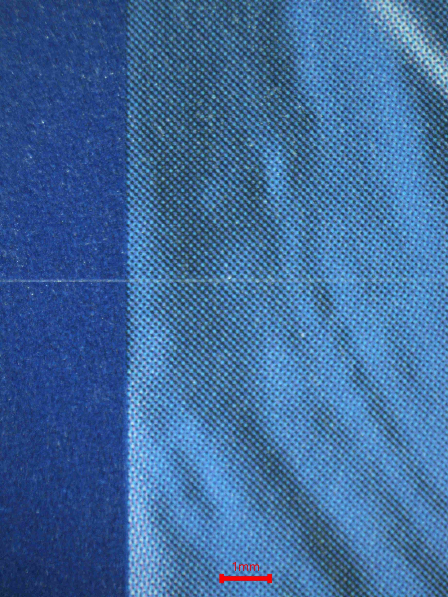 08314 CERULEDGE EX Grading Card