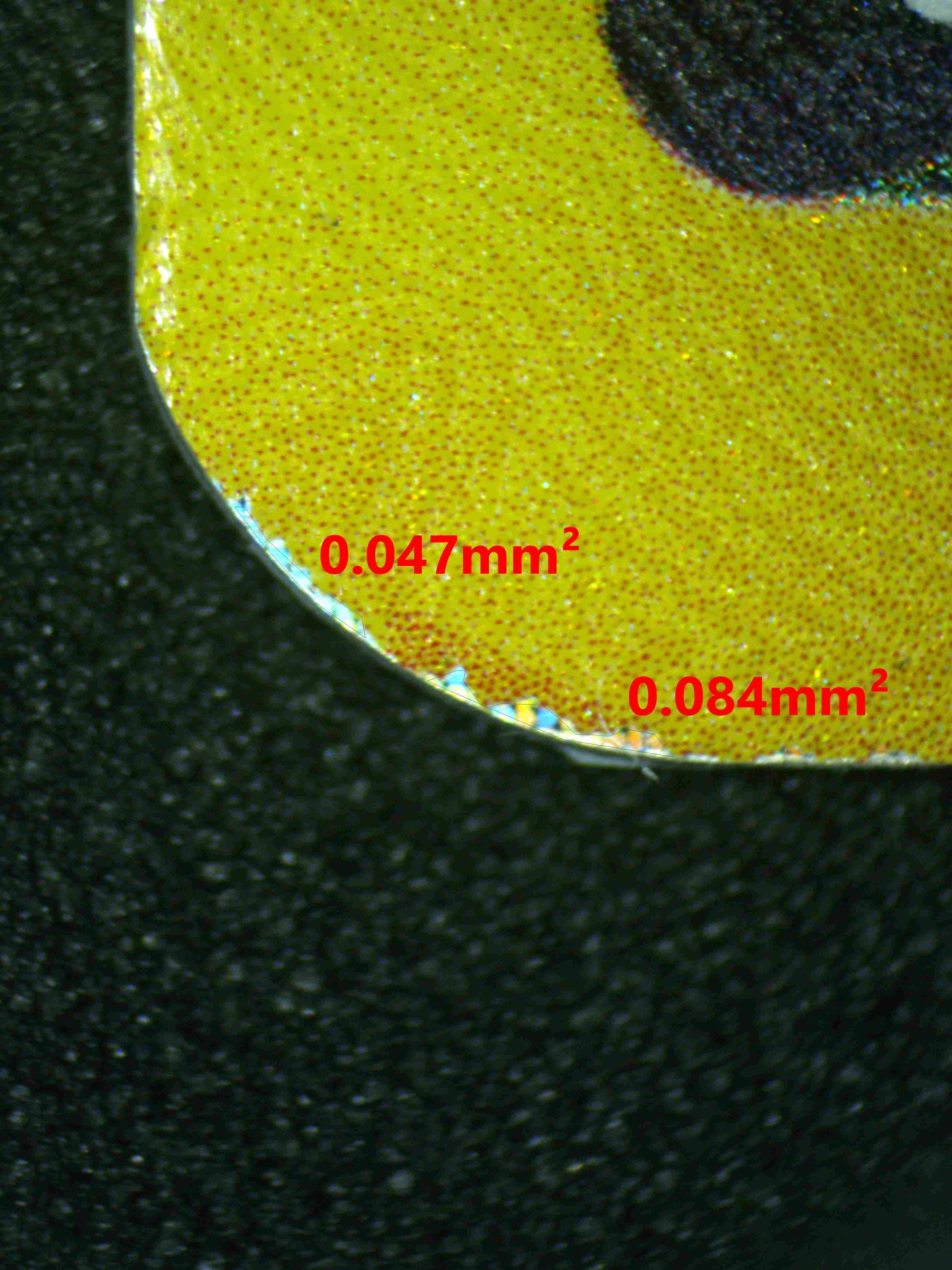 08315 CERULEDGE EX Grading Card