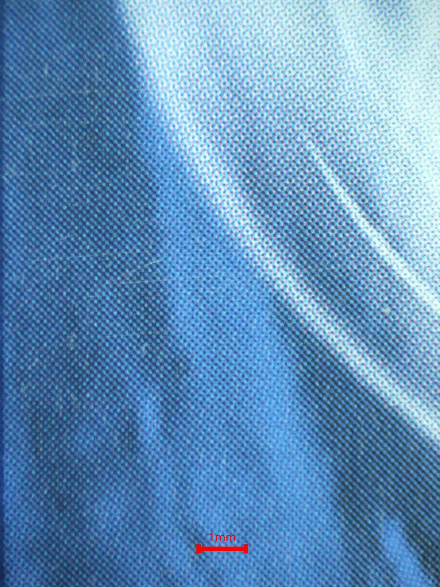 08315 CERULEDGE EX Grading Card