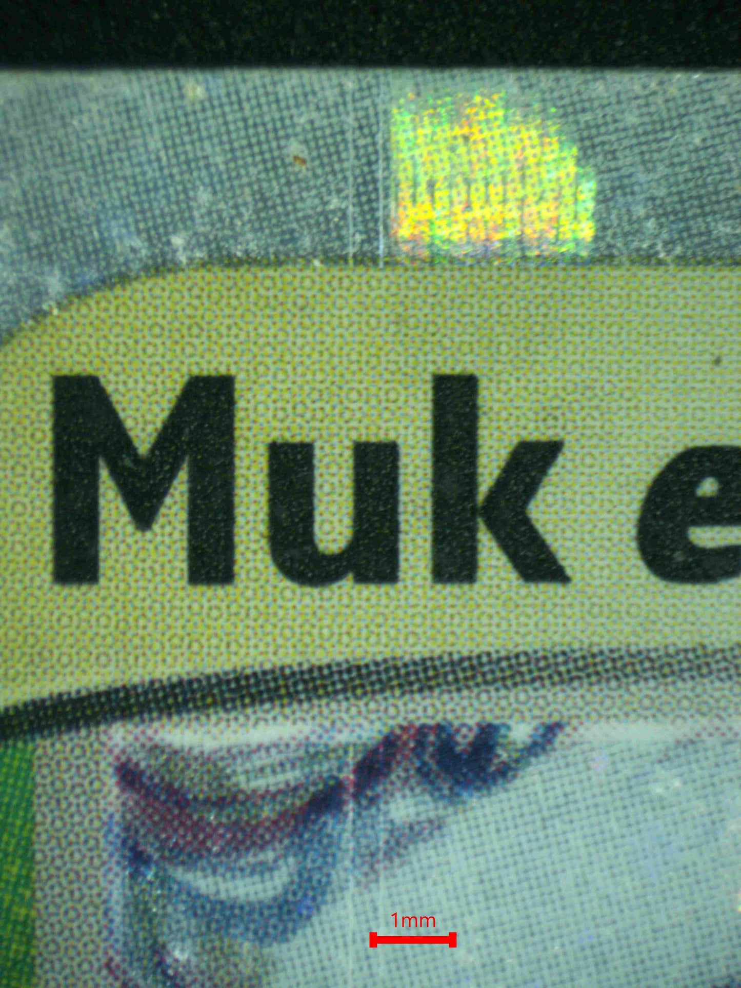08317 MUK EX Grading Card