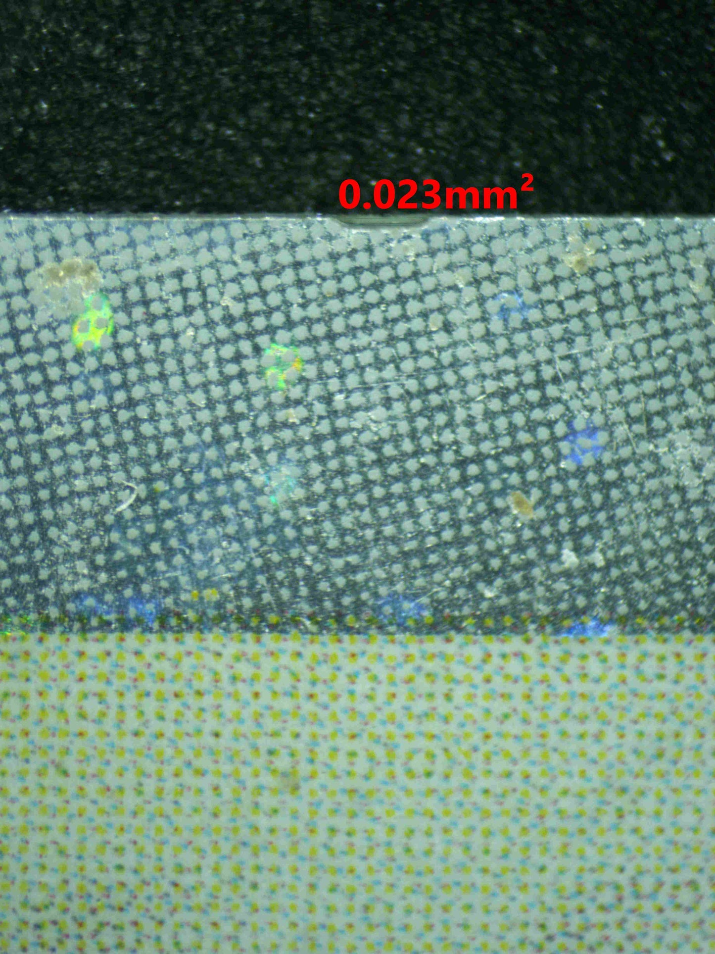 08317 MUK EX Grading Card