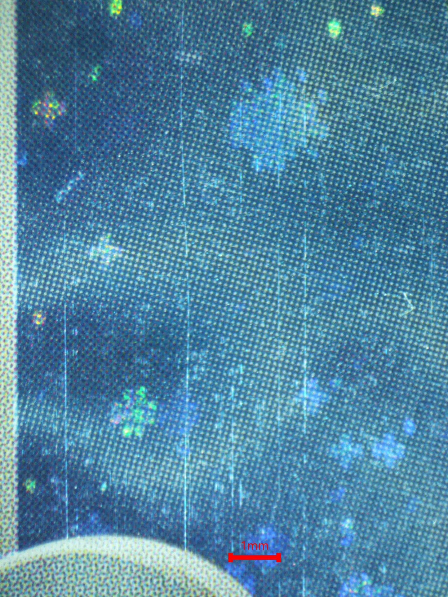 08318 WAILORD Grading Card