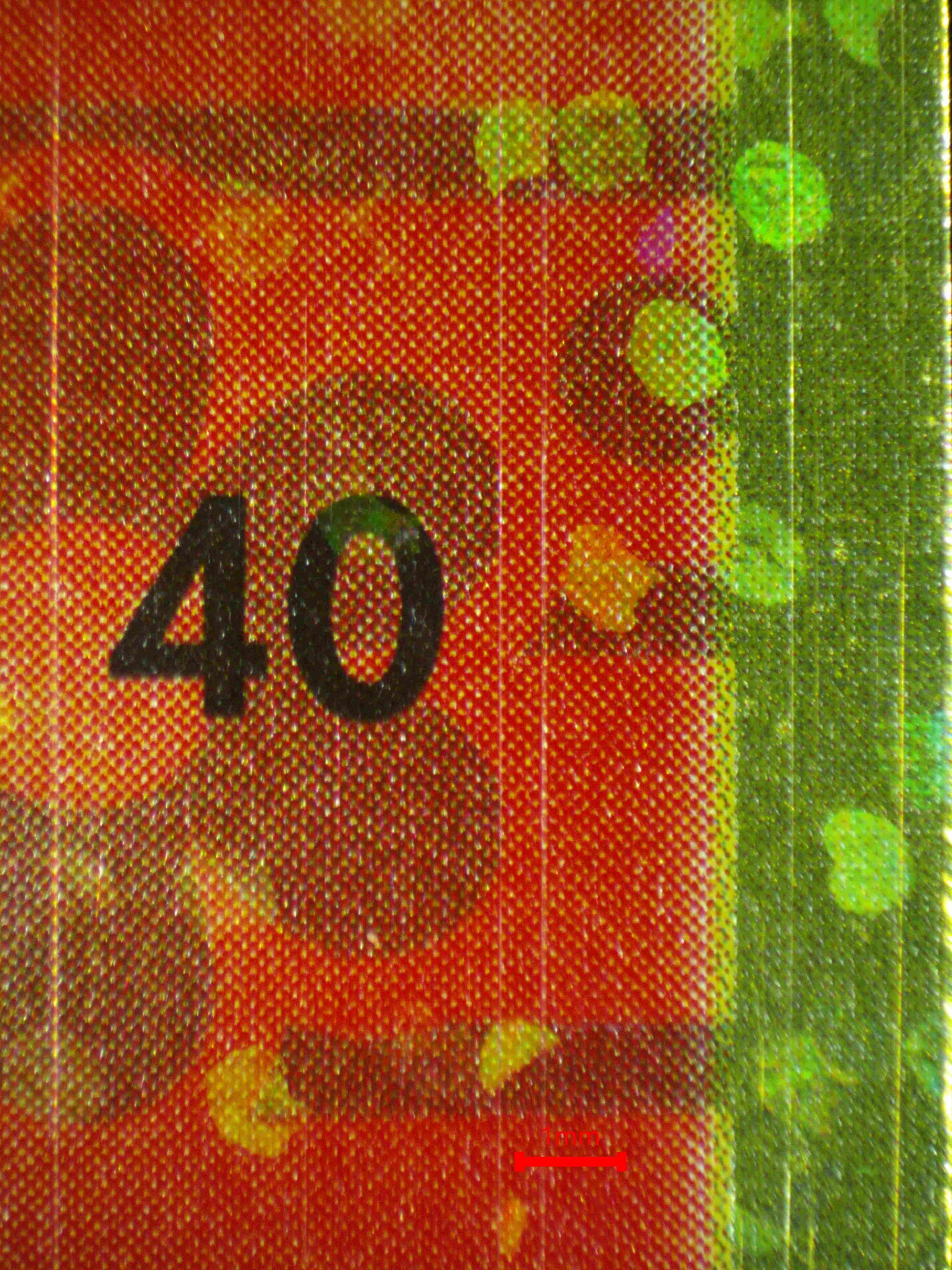 08323 GROWLITHE (KOREAN) Grading Card