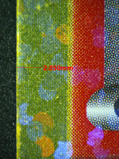 08323 GROWLITHE (KOREAN) Grading Card