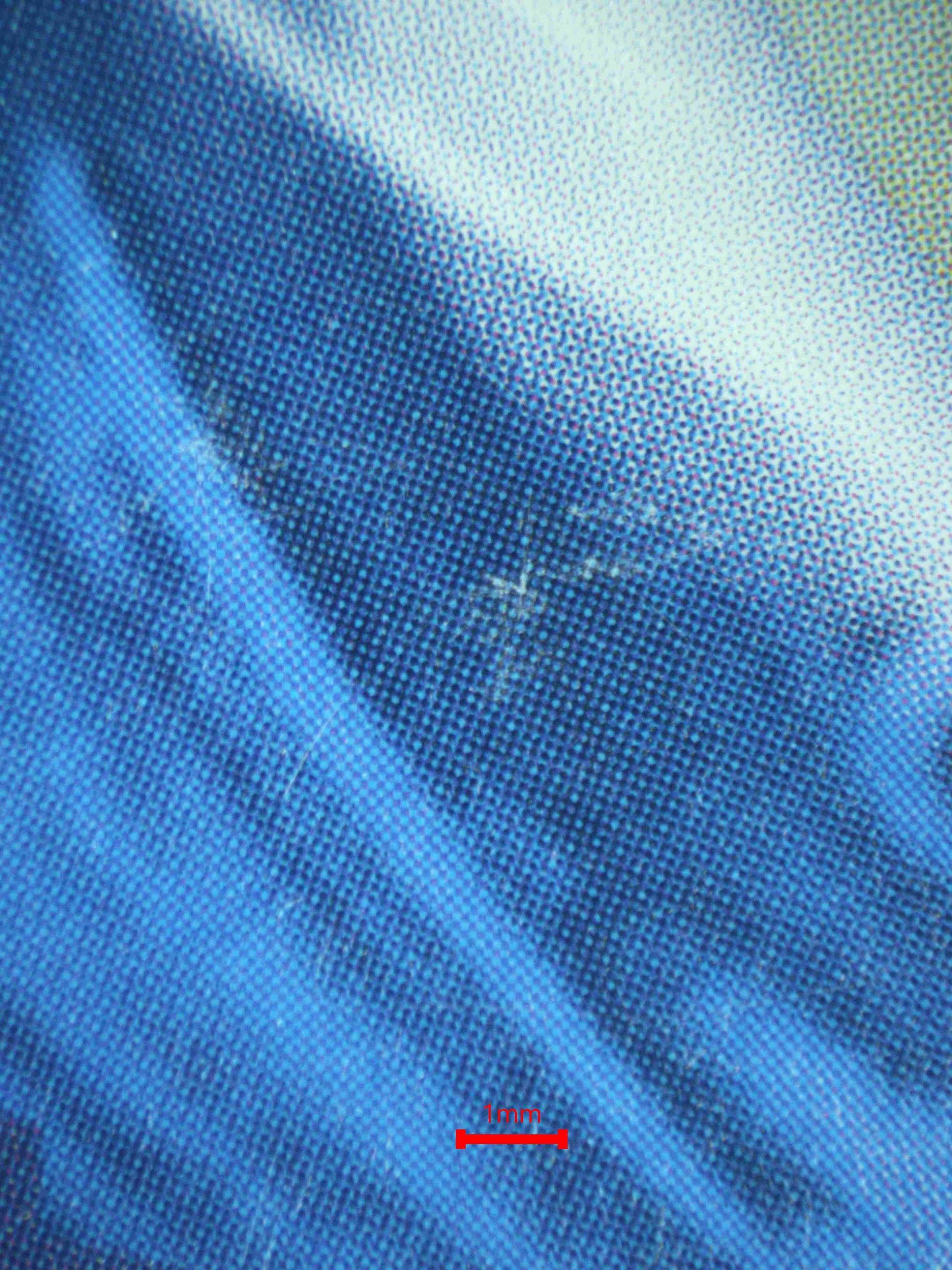 08324 PIKACHU (KOREAN) Grading Card