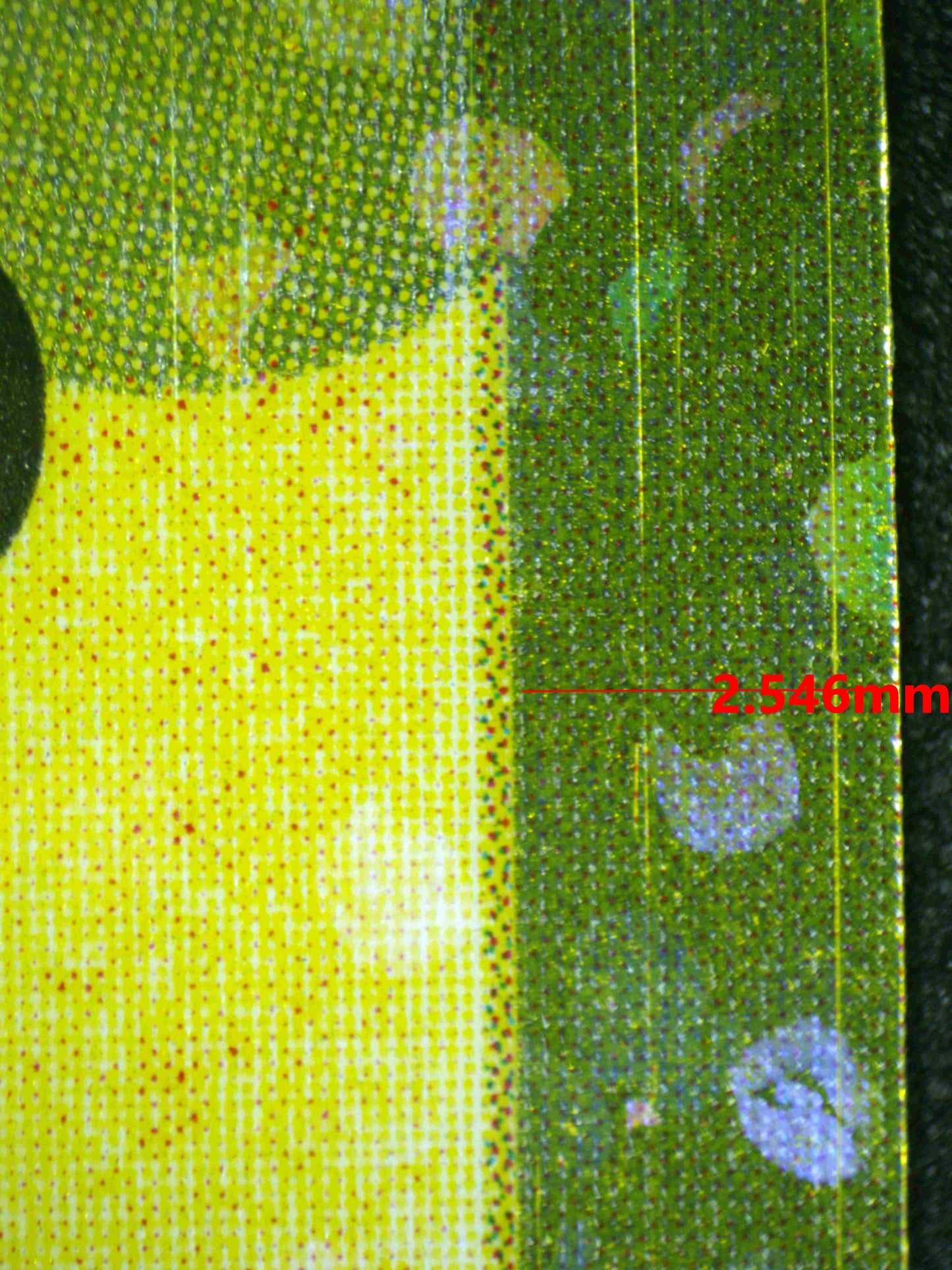 08324 PIKACHU (KOREAN) Grading Card