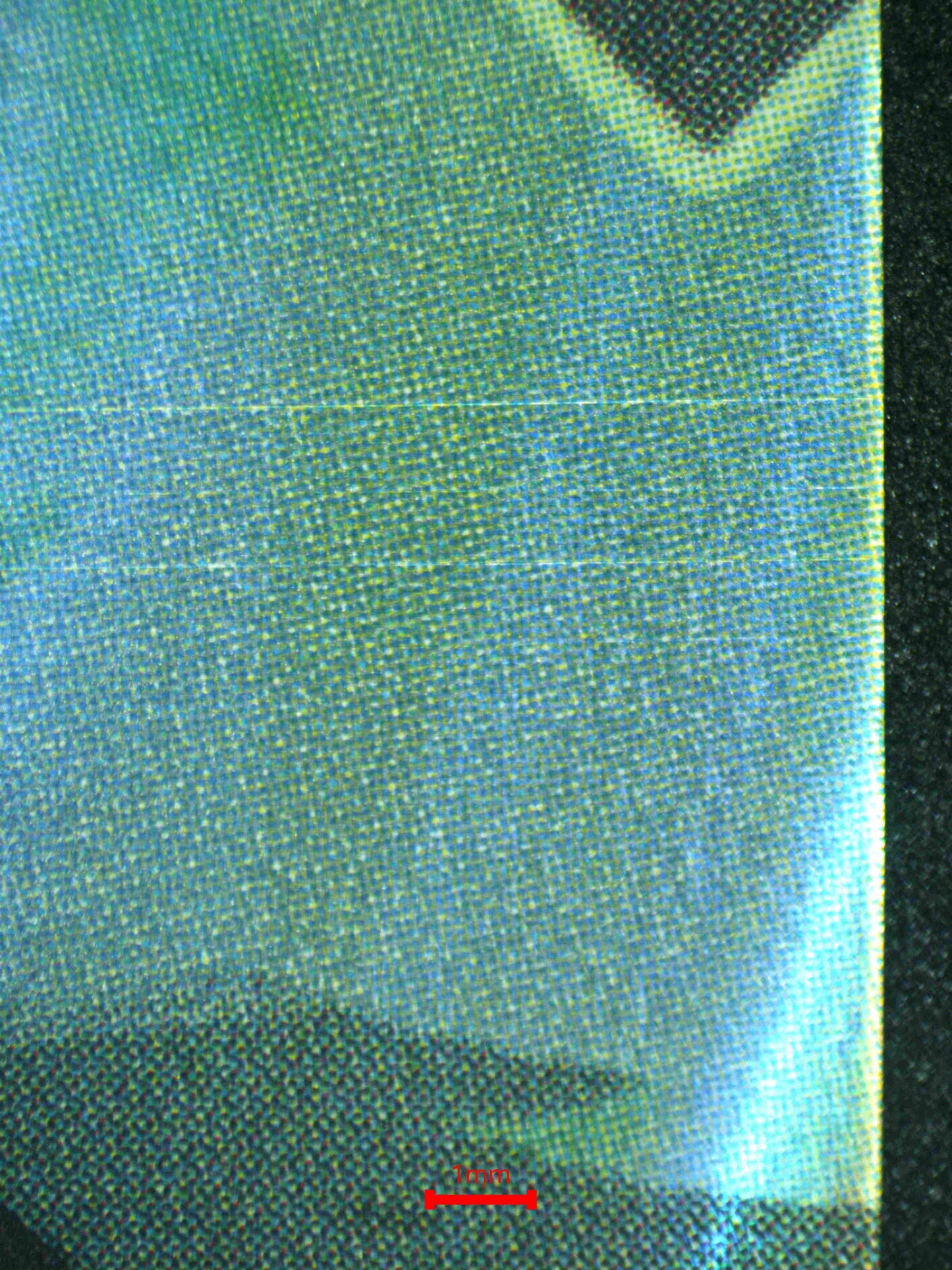 08331 SCAR - HEARTLESS HUNTER Grading Card