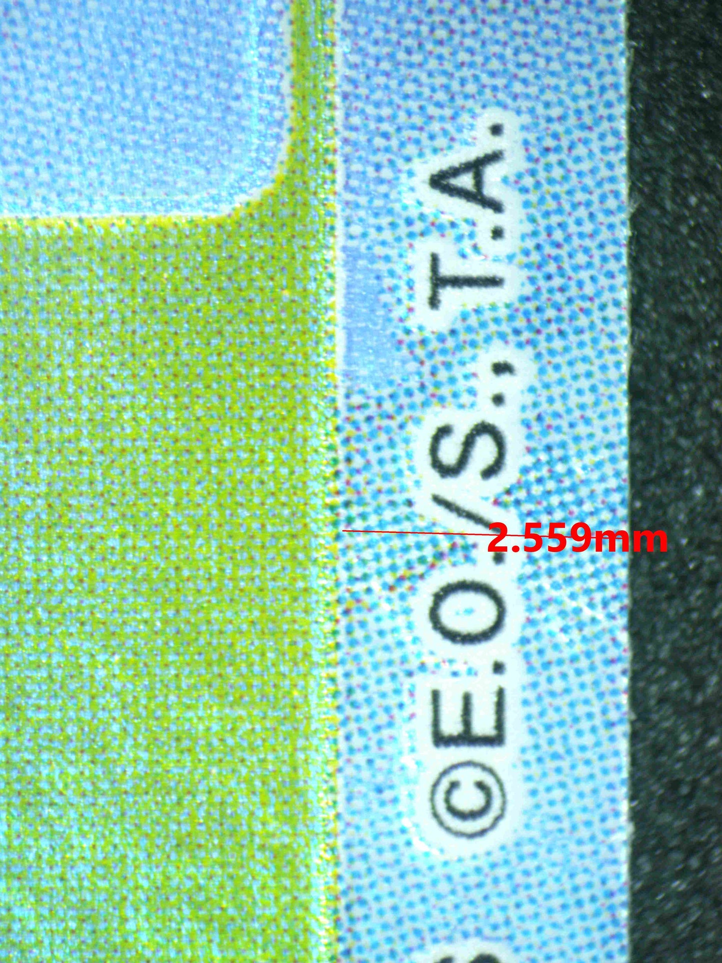 08384 DONQUIXOTE ROSINANTE