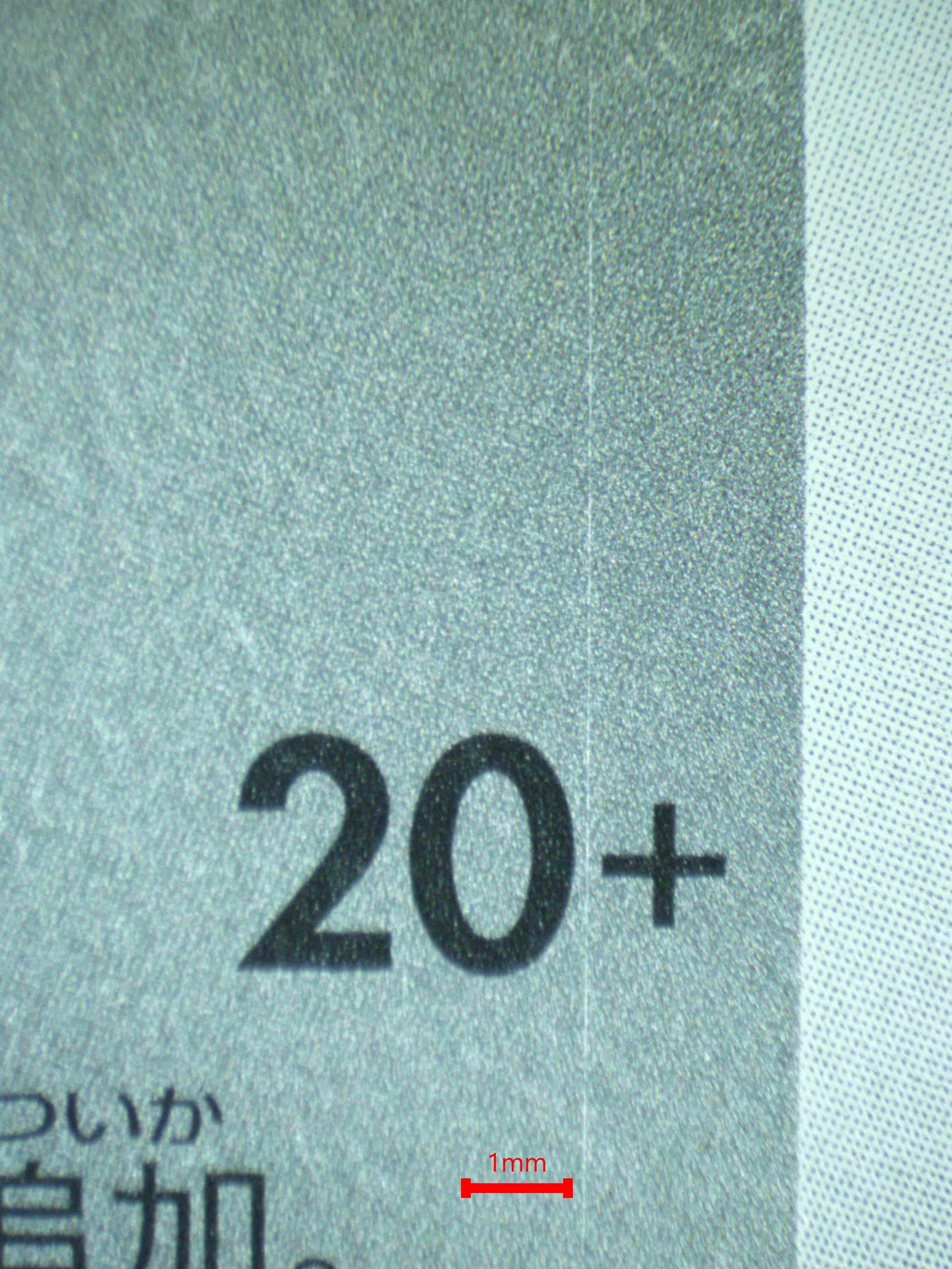 08988 EEVEE (JAPANESE)