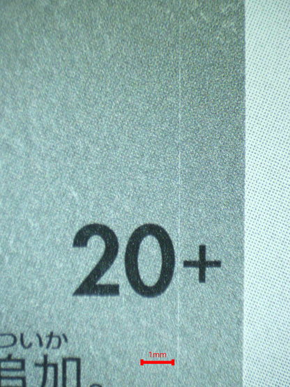 08988 EEVEE (JAPANESE)