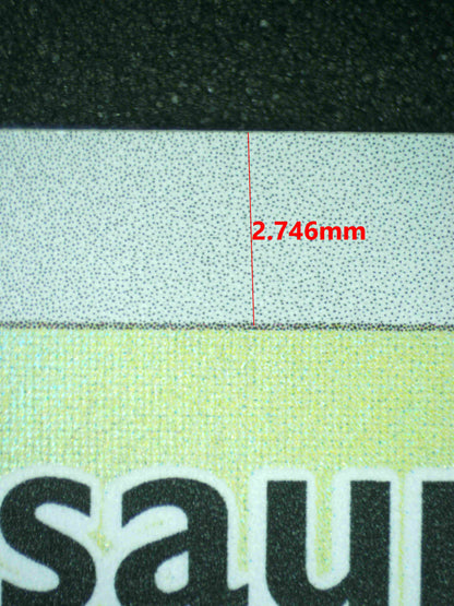 09191 BULBASAUR