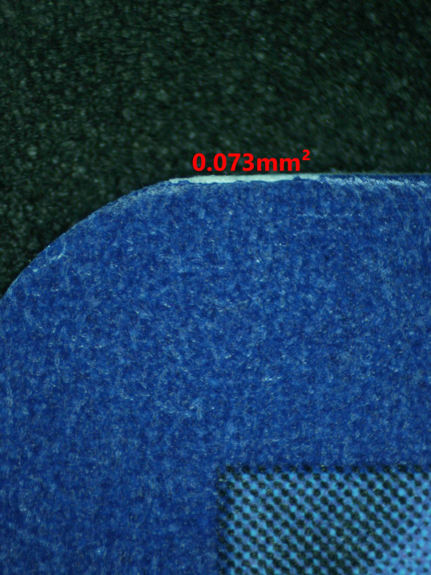 09858 LIGHT TOXTRICITY