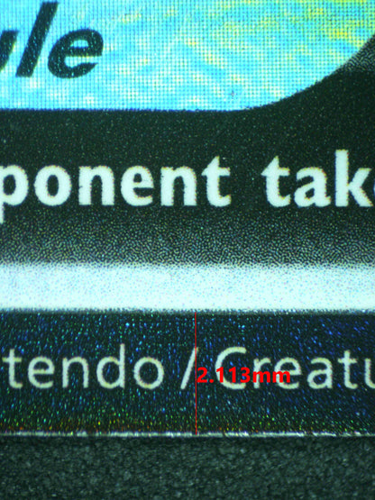 10174 EEVEE V