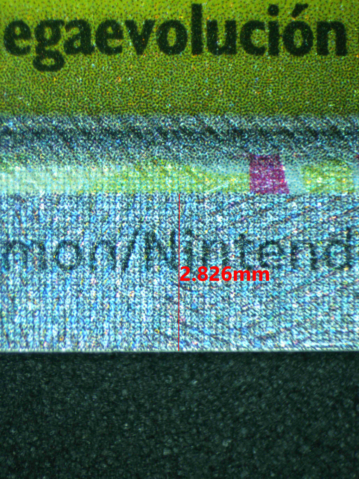 10742 MEGA VENUSAUR Ҽx (LAT)
