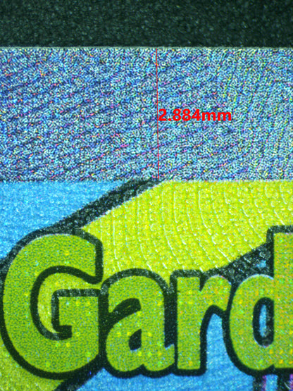 11307 MEGA GARDEVOIR Ҽx