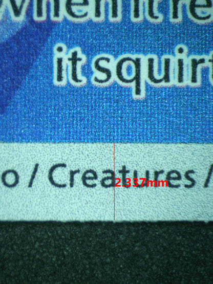 11456 SQUIRTLE