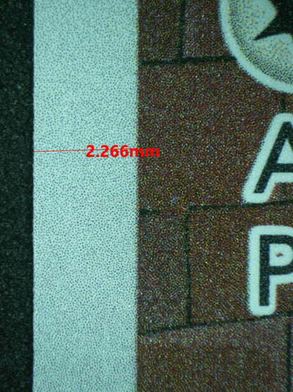 11506 RATICATE (LAT)