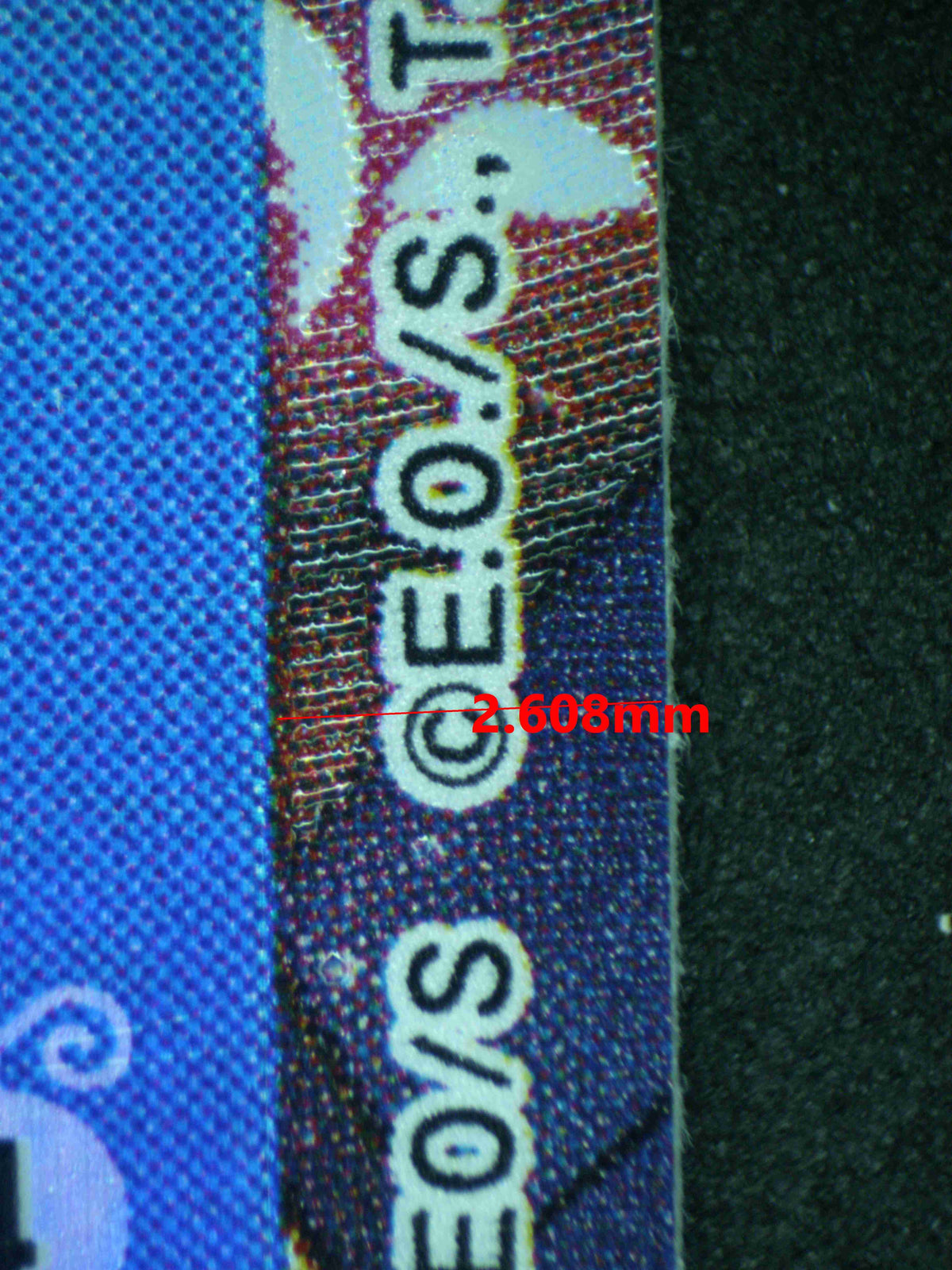 11677 NEFELTARI VIVI