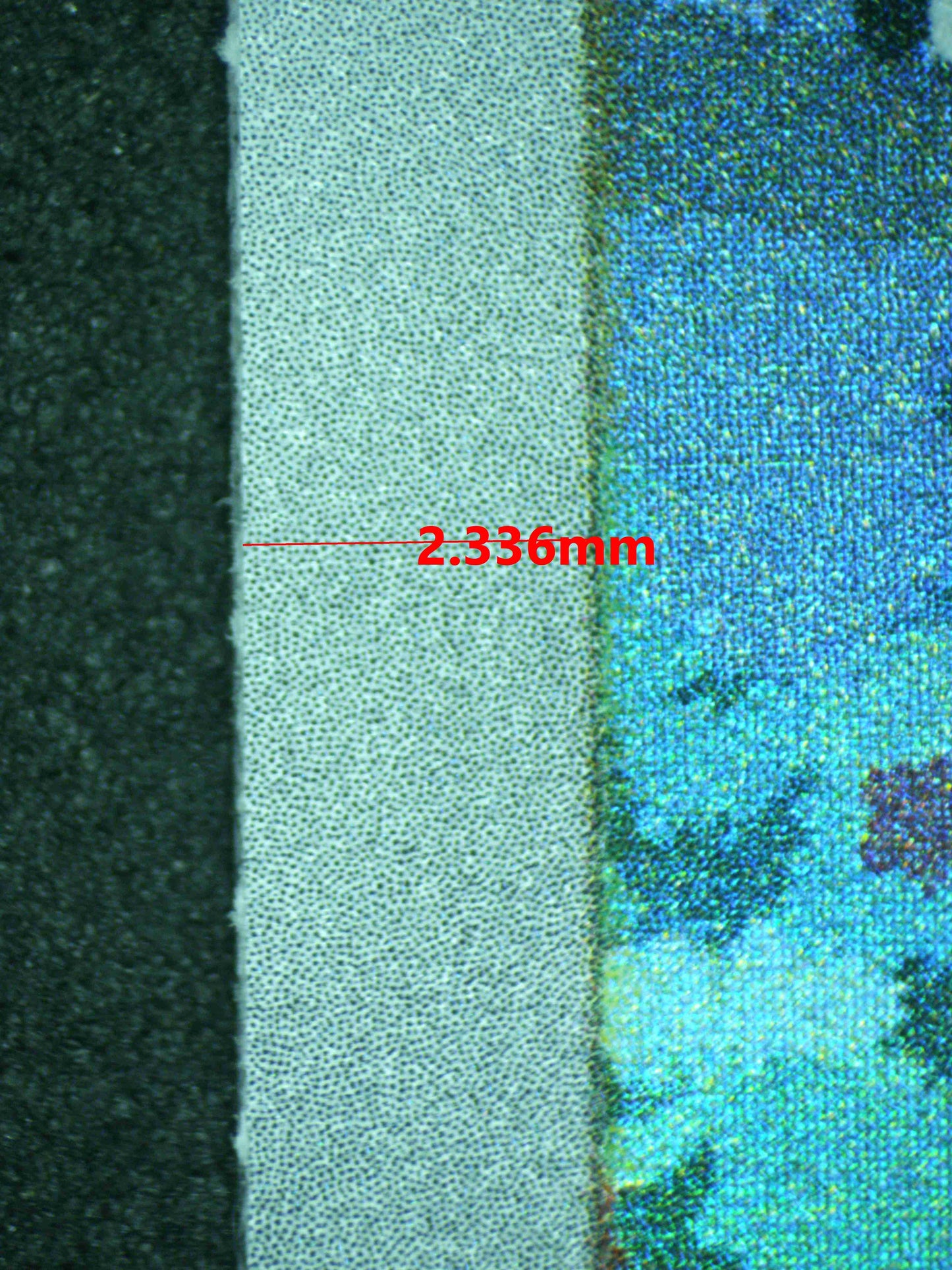 11772 CHARMANDER