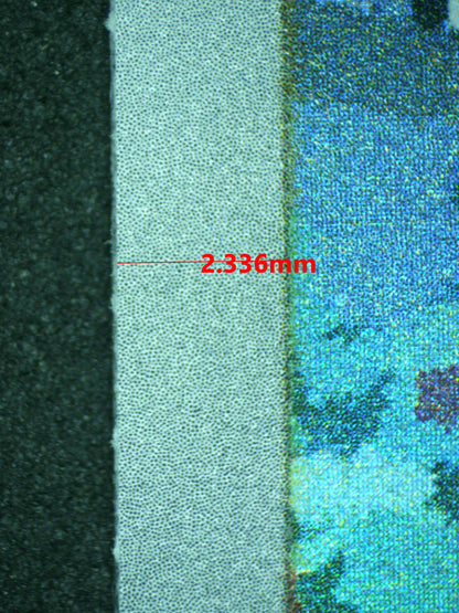 11772 CHARMANDER