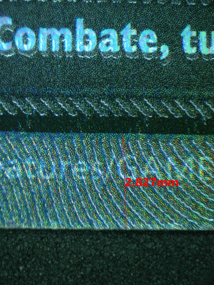 11783 ZEKROM Ҽx (LAT)