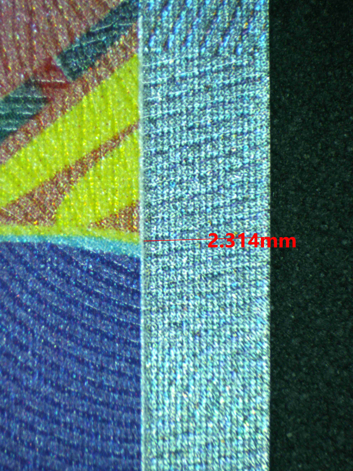 11883 MEGA VENUSAUR Ҽx