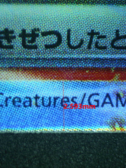 12040 CHARIZARD Ҽx (JAP)