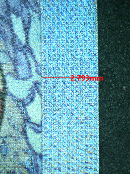 12084 N'S ZOROARK Ҽx
