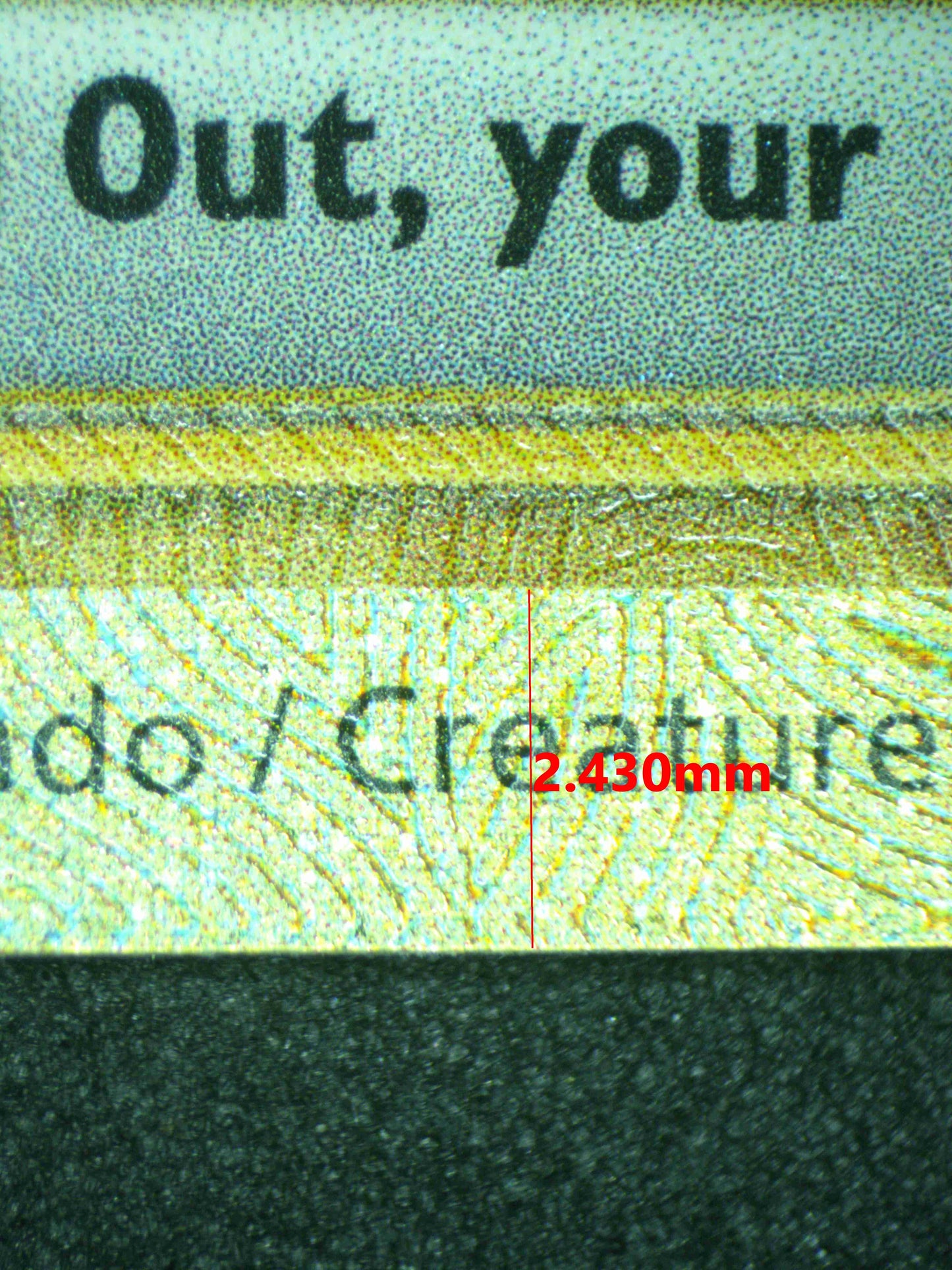 12213 CINDERACE Ҽx