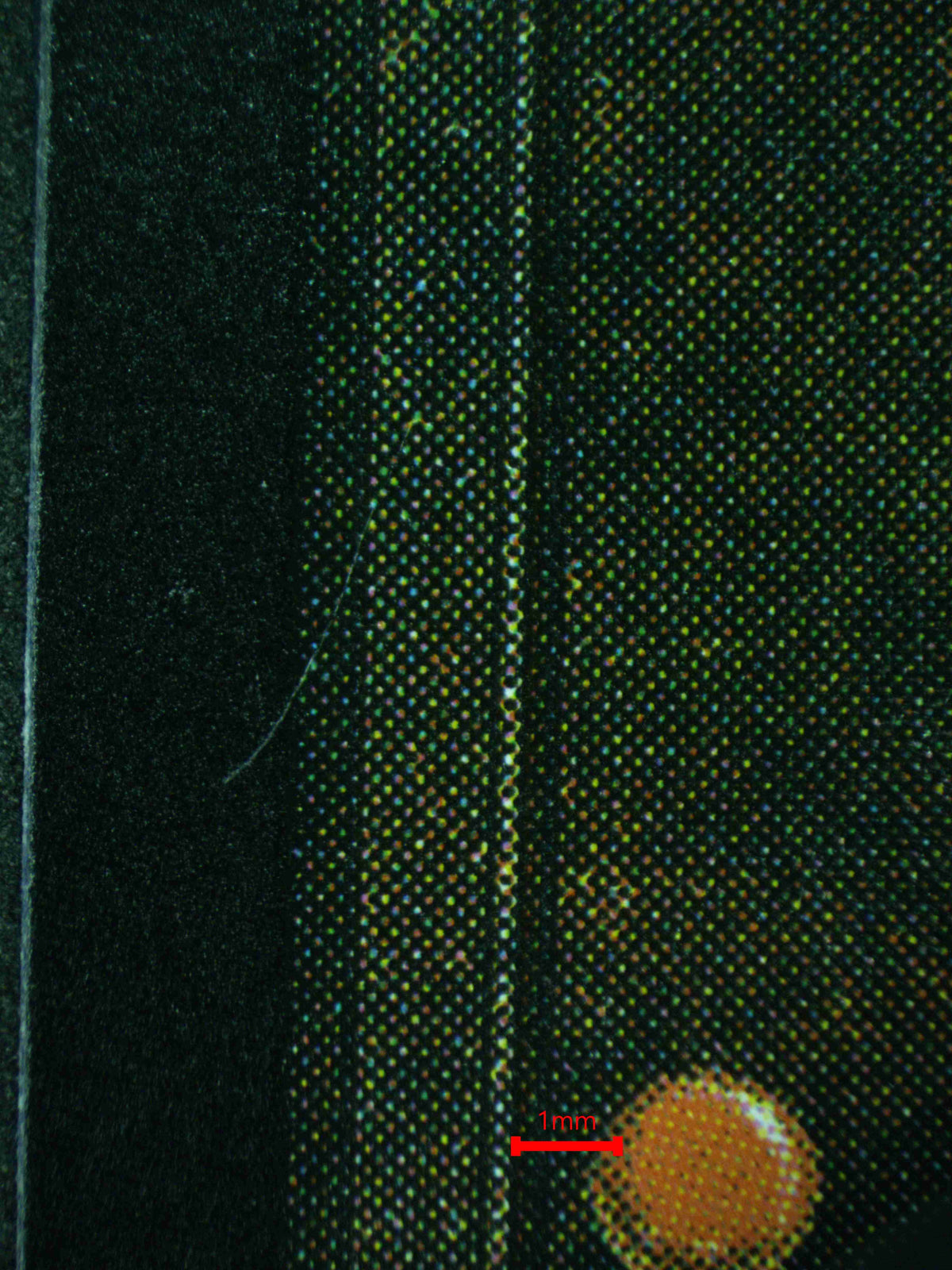12279 BLACK WIDOW, SUPER SPY