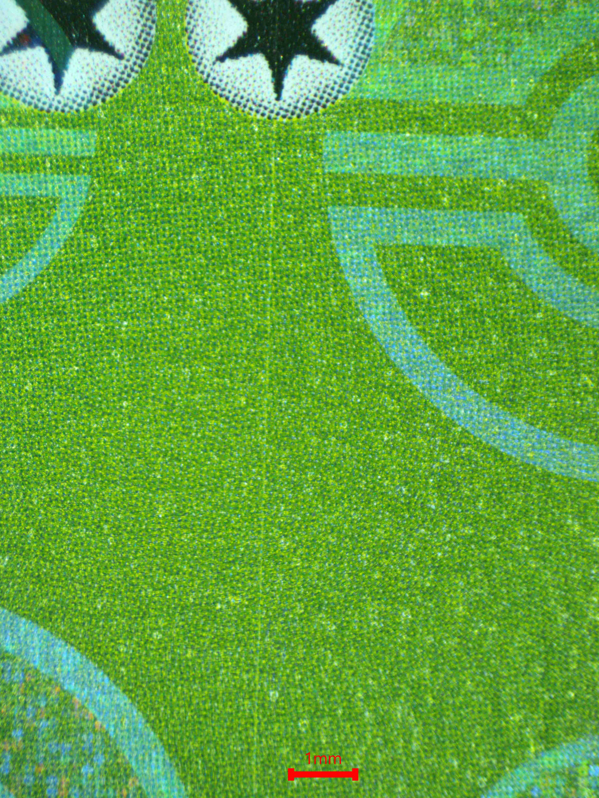 12285 BULBASAUR (JAP)
