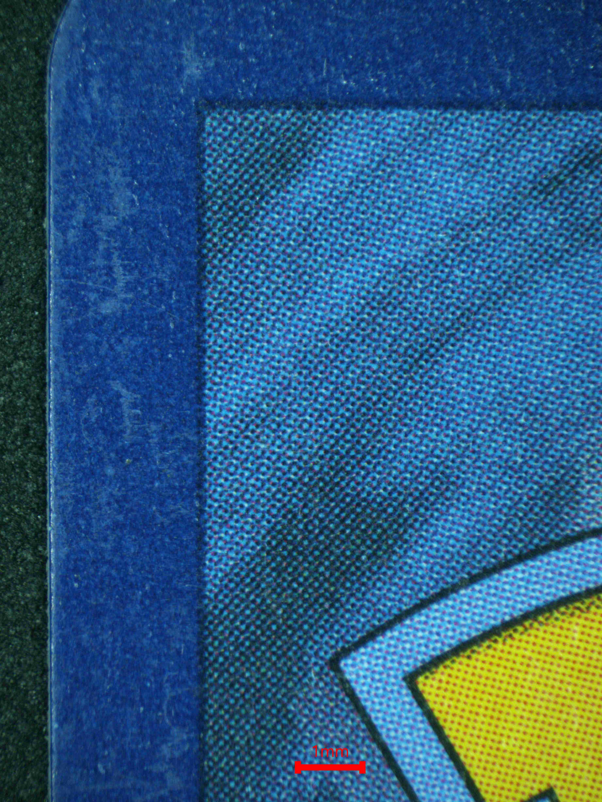 12305 SQUIRTLE